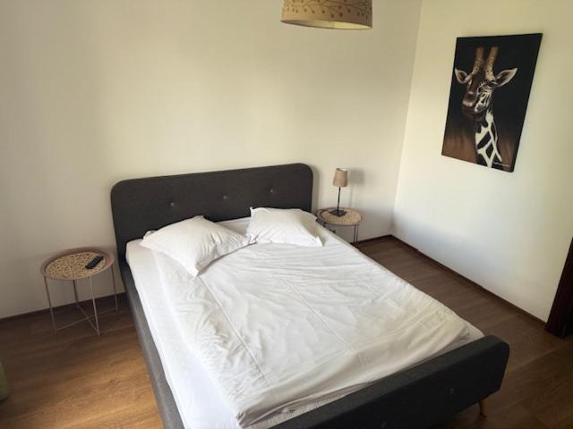 Drumul Poienii Apartament *