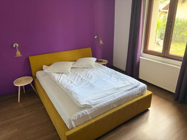 Apartament Drumul Poienii *